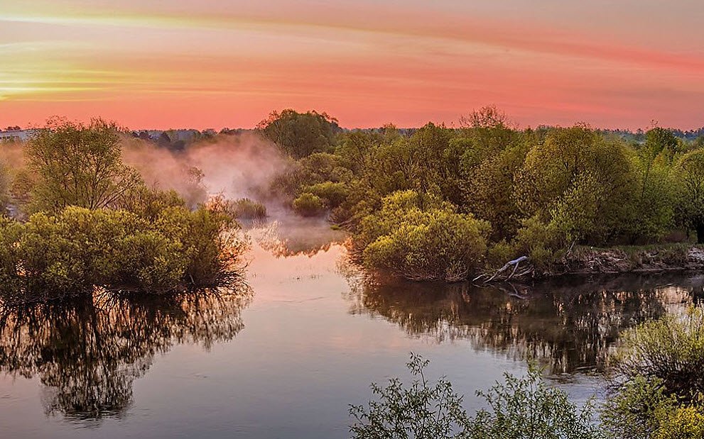 Pripyatsky National Park, Gomel Region, Belarus